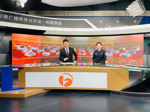 強化主體責任 推動省屬監(jiān)獄戒毒系統(tǒng)教育整頓落地見效