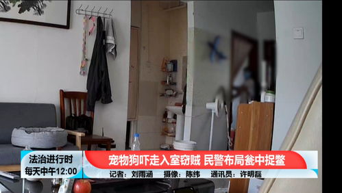 btv法治進行時的主頁
